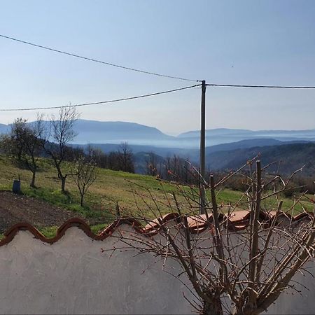 Apartment Mirella For 6 Persons Located In Central Istria Gradinje Exterior foto